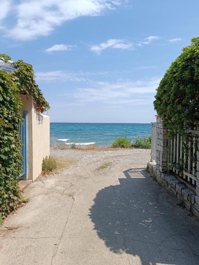 פלטמונס Niki Apartments Sea View Attic מראה חיצוני תמונה